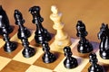 Chess. White king. Royalty Free Stock Photo