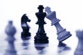 Chess white king attacks black king