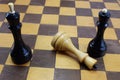 Chess, the white king lost