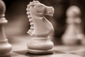 Chess White Knight on the board, colored Royalty Free Stock Photo