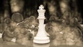 Chess winnner king after battle smoke results - 3d rendering Royalty Free Stock Photo