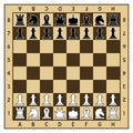 Chessboard and Chess Pieces Royalty Free Stock Photo