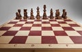 Chessboard with chess pieces. Royalty Free Stock Photo
