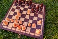 Chessboard and chess pieces on the grass in the garden Royalty Free Stock Photo