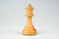 Chessman Royalty Free Stock Photo