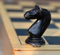 Chessman. Horse. Royalty Free Stock Photo