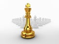 Chessman king leader. Royalty Free Stock Photo