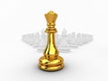 Chessman queen Royalty Free Stock Photo