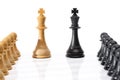 Chessmen Isolated on White Royalty Free Stock Photo