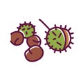 Chest nut color line icon. Nut in a spiky shell. Pictogram for web page, mobile app, promo. UI UX GUI design element. Editable