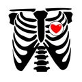 Chest rib vector skeleton heart bone illustration ray xray film