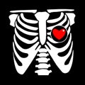 Chest rib vector skeleton heart bone illustration ray xray film