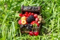 A chest with a set of various berries from the garden: raspberries, red, black and white currants, cherries, blackberries, strawbe Royalty Free Stock Photo