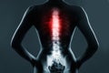 The chest spine is highlighted by red colour Royalty Free Stock Photo