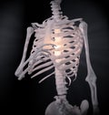 Chest and spine pain Royalty Free Stock Photo