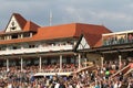 Chester races