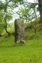 Chesterholme Roman Milestone, Vindolanda