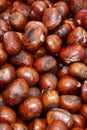 Chestnut