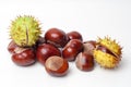 Chestnut