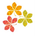 Chestnut abstract stylized fall leaves card template.
