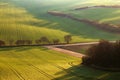 A chestnut alley along a road across a rolling spring field with tracks from the tractor wheels Royalty Free Stock Photo