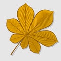 Chestnut autumn leaf. Flat design Vector