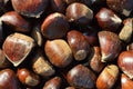 Chestnut background