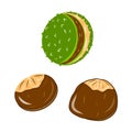 Chestnut beans icons. Creative illustration. Colorful sketch. Idea for decors, logo, patterns. Isolated vector art. Royalty Free Stock Photo