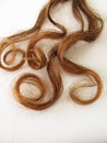 Chestnut-brown hair curls Royalty Free Stock Photo