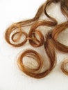 Chestnut-brown hair curls