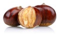 Chestnut