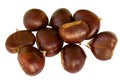 Chestnut, chinquapin Royalty Free Stock Photo