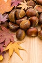 Chestnut and dry maple leave on wooden background Royalty Free Stock Photo