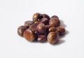 Chestnut Royalty Free Stock Photo