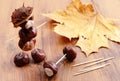 chestnut figure with maple leave. creative season tinker for autumn. Royalty Free Stock Photo