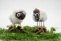 Chestnut figures as sheep against an background Royalty Free Stock Photo