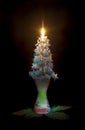 A chestnut flower in a candlestick, burning like a candle, on a black background Royalty Free Stock Photo