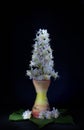 A chestnut flower in a candlestick, like a candle, on a black background Royalty Free Stock Photo
