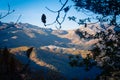 Chestnut forest, Pujerra, locality of Malaga, Andalucia, Spain. Genal Valley Royalty Free Stock Photo