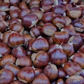 Chestnut fruits background