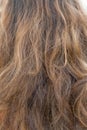 Chestnut hair textured