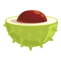 Chestnut half cutted icon, cartoon style