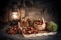 Chestnut harvest in autumn