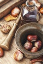 Chestnut in herbal medicine Royalty Free Stock Photo