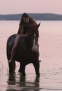 Chestnut horse and the girl in the water Royalty Free Stock Photo