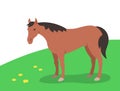 Chestnut horse grazing on a green pasture Flat cartoon illustration