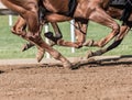 Chestnut Horse Legs Pound the Dirt