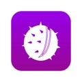 Chestnut icon digital purple