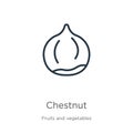 Chestnut icon. Thin linear chestnut outline icon isolated on white background from fruits collection. Line vector chestnut sign,