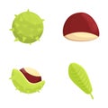 Chestnut icons set cartoon vector. Chestnut with leaf and spiky shell